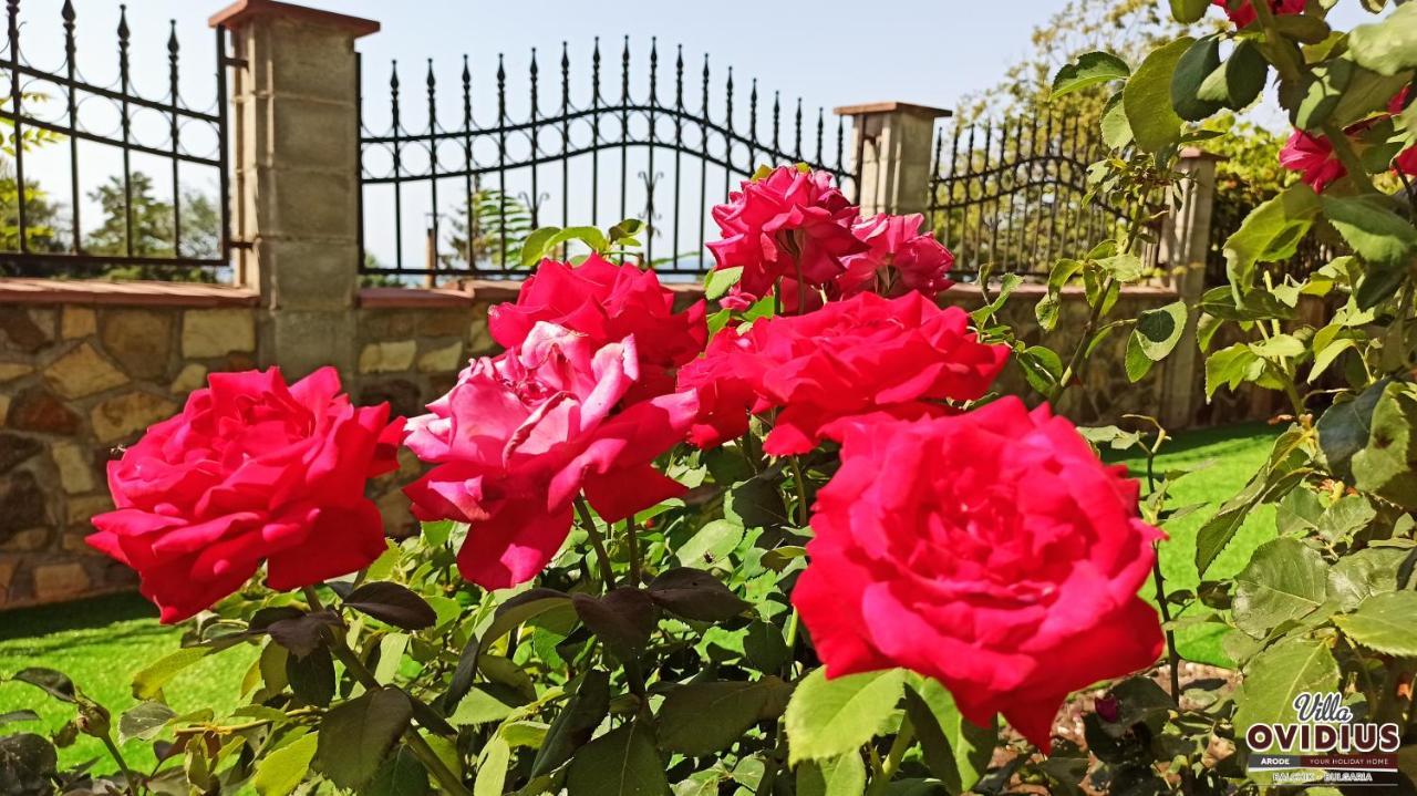 בלצ'יק Arode Villa Ovidius מראה חיצוני תמונה